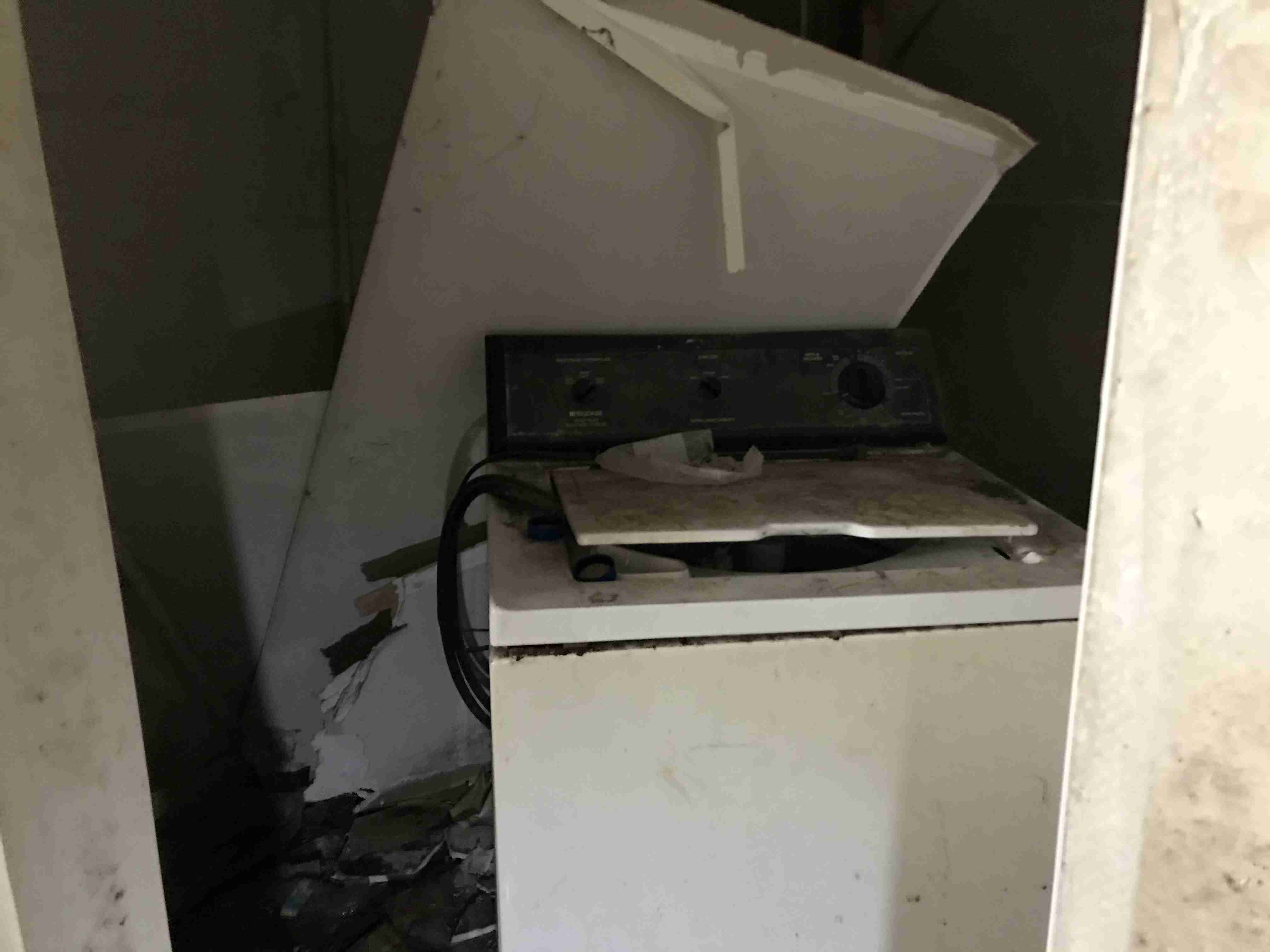 Photo Oct 13, 12 37 32 PM.jpg